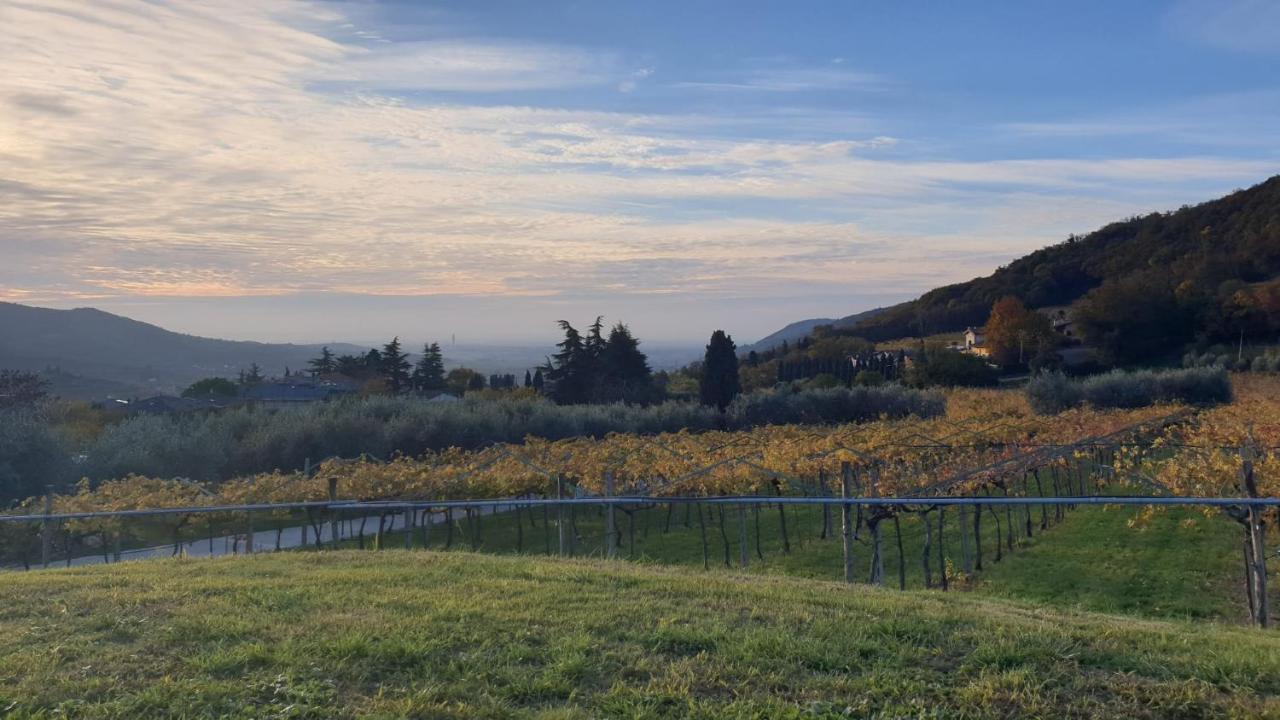 Suite La Torretta - Ca' Del Volo Grezzana Exteriör bild