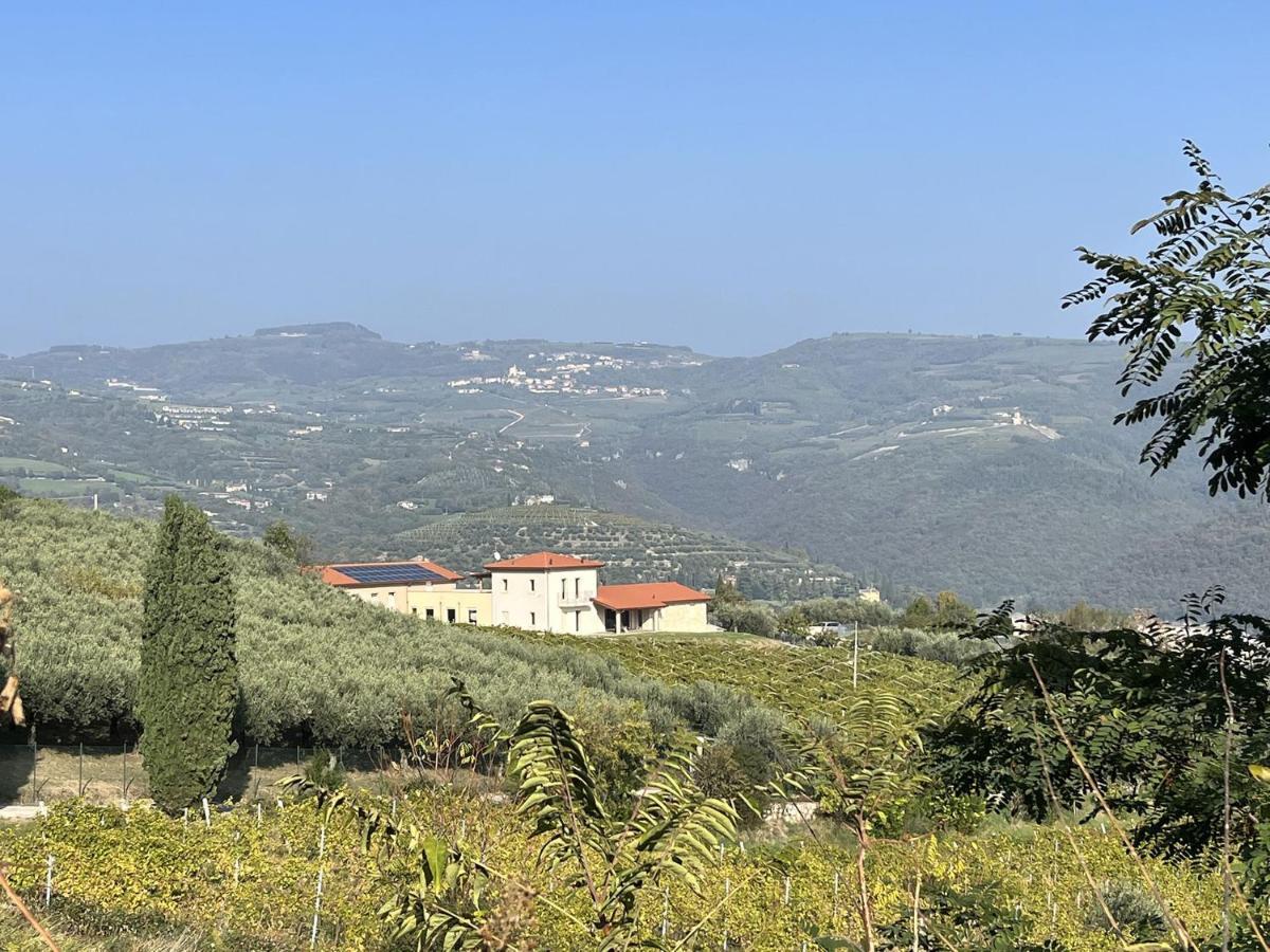 Suite La Torretta - Ca' Del Volo Grezzana Exteriör bild