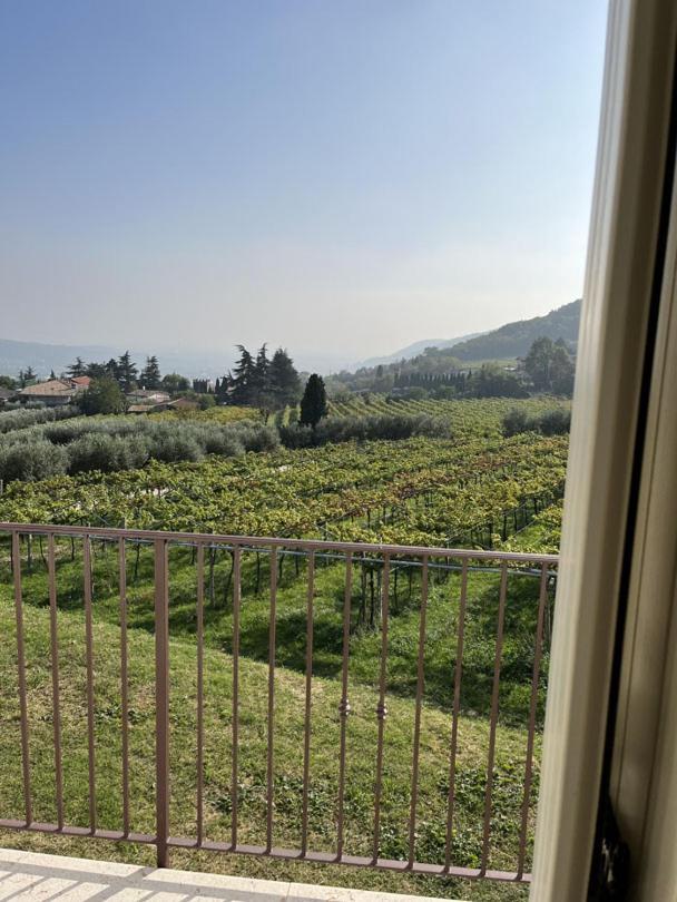 Suite La Torretta - Ca' Del Volo Grezzana Exteriör bild
